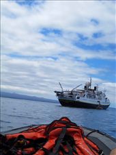 by guiri74, Views[150]