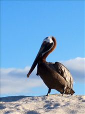 by guiri74, Views[150]