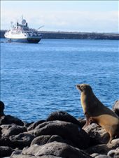 by guiri74, Views[144]