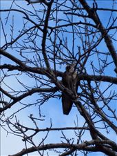 by guiri74, Views[138]