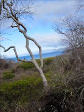 by guiri74, Views[166]