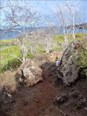 by guiri74, Views[170]