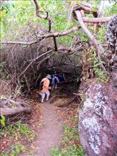 by guiri74, Views[148]