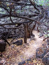 by guiri74, Views[111]