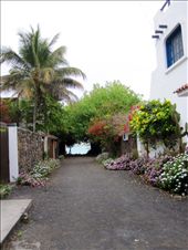 by guiri74, Views[138]