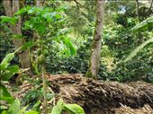 by guiri74, Views[180]