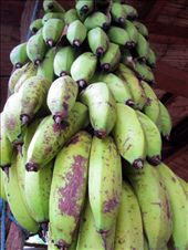 by guiri74, Views[138]