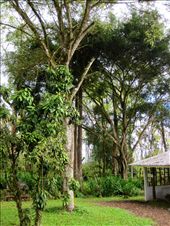 by guiri74, Views[140]