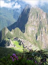 by guiri74, Views[191]