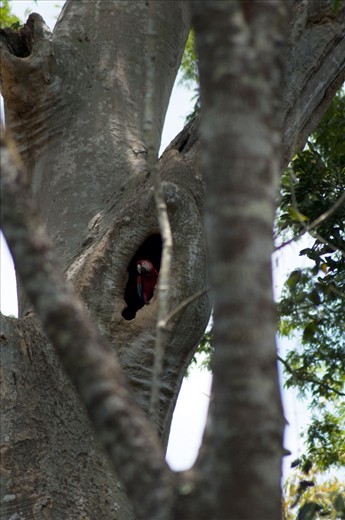 Hidding because the world has taught them to do so if they want to survive.