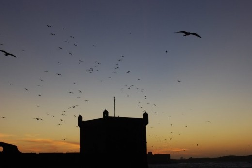 Esaouira