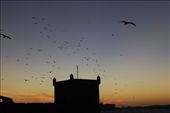 Esaouira: by gumerg, Views[219]