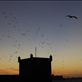 Esaouira: by gumerg, Views[202]