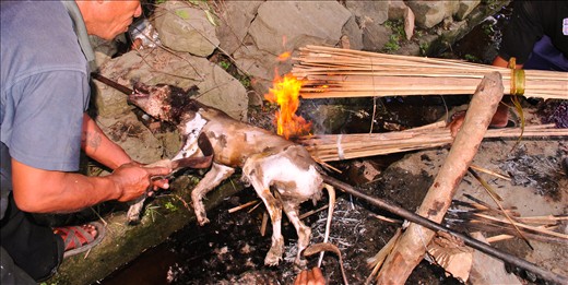 roasted dog to eat at Mizoram 