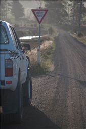 A common site on the trip back to Hobart.  One of the many long and empty dirt roads on the Tasman Peninsula that Mum travels regularly.  The sign is somewhat meaningless; we didn’t pass a soul the entire afternoon.: by gusmcd, Views[212]