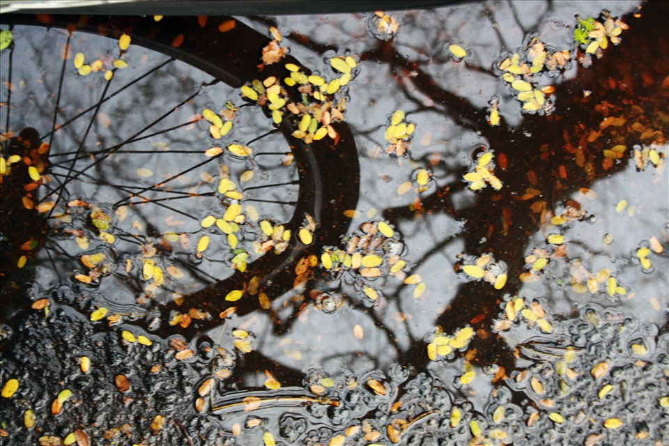 reflection of lifestyle 