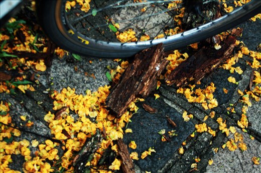 best moments after rain