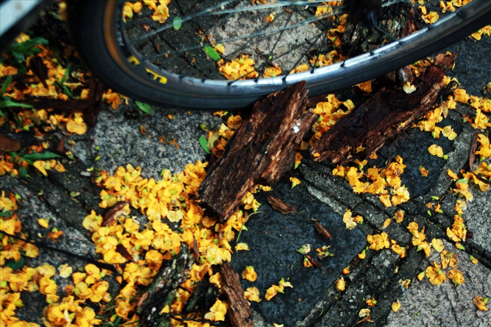 best moments after rain