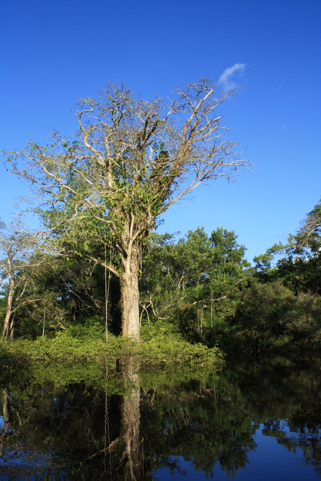 Cuyabeno is a wildlife reserve located on the equator.