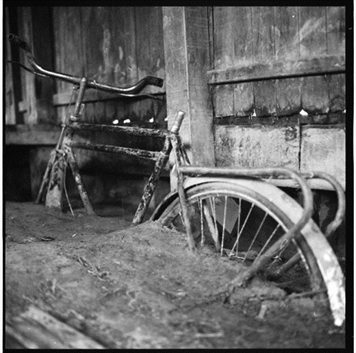 Bike, Chapare, Bolivia