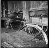 Bike, Chapare, Bolivia: by ha1l_travels, Views[479]
