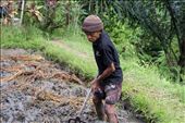 An Indonesian farmer can work until he is old. This Balinese farmer works at Tegalalang, Ubud, for more than 8 hours a day, yet he looks very strong. A closer look at his muscles proves just that.: by hadiwina, Views[637]
