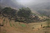 Lonely settlement (Ha Giang, Vietnam) 
Living is hard in Ha Giang. People live from their corn. In hard work they have to cultivate the poor soil. The water for the daily life comes from the rain or the river in the valley.  
: by hagiang, Views[811]