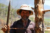 A Co Ho farmer protects his cassava fields in the forests near Biduop Nui Ba national park.: by hagiang, Views[357]