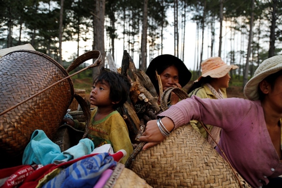Children cannot go to school, they follow the family to the forests to look for food.