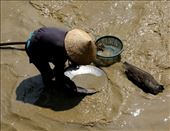 Tin washing is a hard job, working all the day in the cold water.: by hagiang, Views[435]