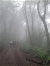 by hagiasophia, Views[173]