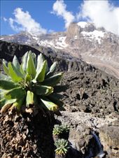 by hagiasophia, Views[250]