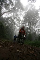 by hagiasophia, Views[165]