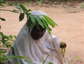 by hagiasophia, Views[217]