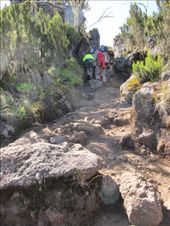 by hagiasophia, Views[207]