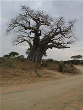 by hagiasophia, Views[165]