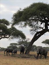 by hagiasophia, Views[165]