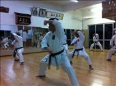 Karate in Okinawa: by hajime, Views[252]