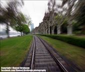 by hamedium, Views[299]