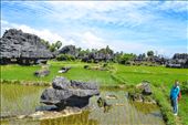 Karst Maros in Indonesia is the second biggest Karst area in the world: by hamkarasufit, Views[316]