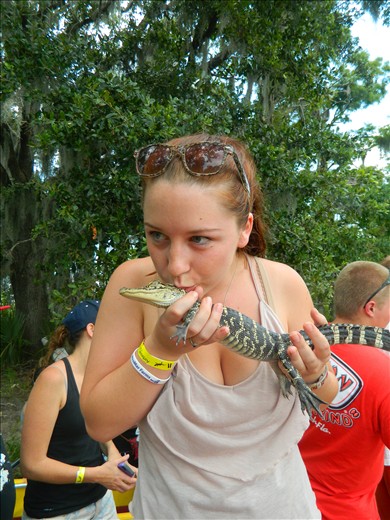 This alligator was just so charming!