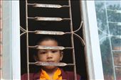 A baby Monks at the Tashi Palkhiel Tibetan Refugee Camp, Pokhara. : by handfedsultanas, Views[1123]