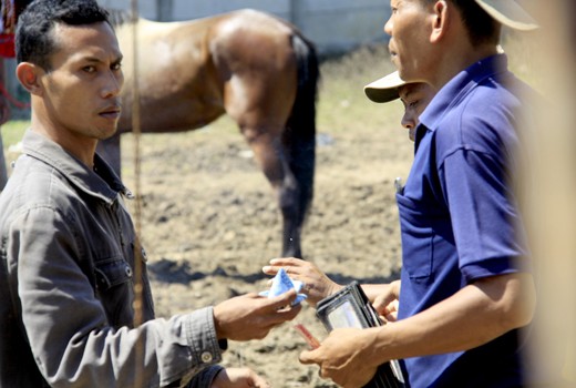 People outside the field prepare for gamble.