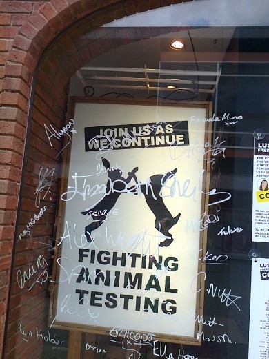 My signature is on this Lush window in Worcester