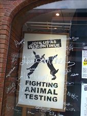 My signature is on this Lush window in Worcester: by hannah_white, Views[182]