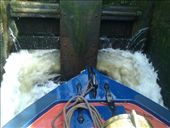 by hannah_white, Views[180]