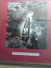 Steven Rees-Jones old boat Iona , in the Shroppy Fly pub: by hannah_white, Views[551]