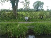 by hannah_white, Views[196]