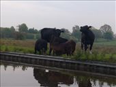 by hannah_white, Views[193]