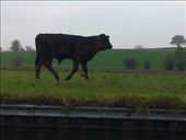 by hannah_white, Views[252]